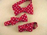 Boys Bow Tie "Red Polka" - Bow Ties for Infant, Boys and Youth - Hand Made in USA