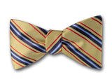 Navy, red and blue on yellow men's bow tie.