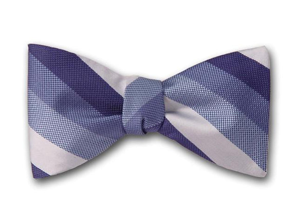 Blue striped men's bow tie. 