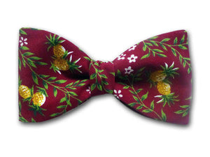 Gold Pineapple Bow Tie on Burgundy Red Background